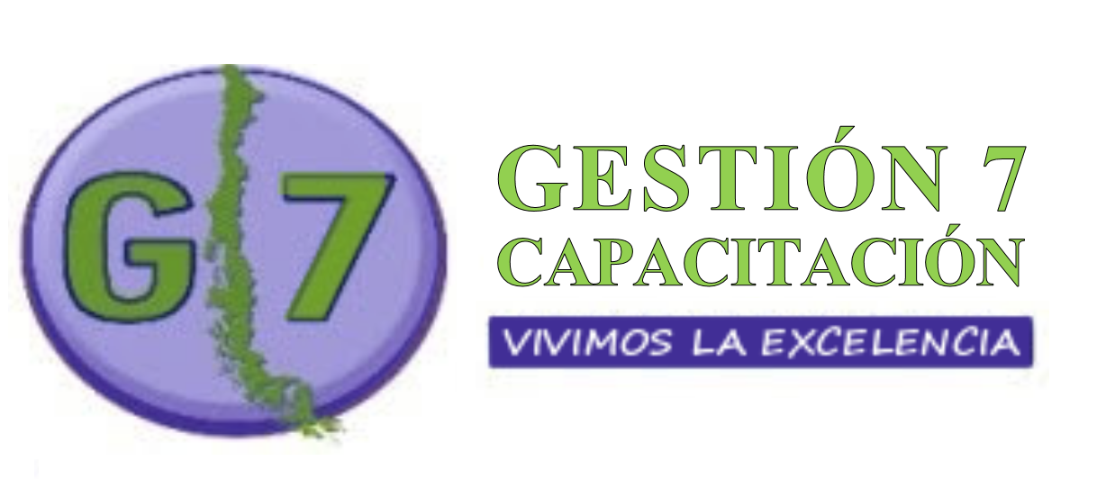 Gestión 7