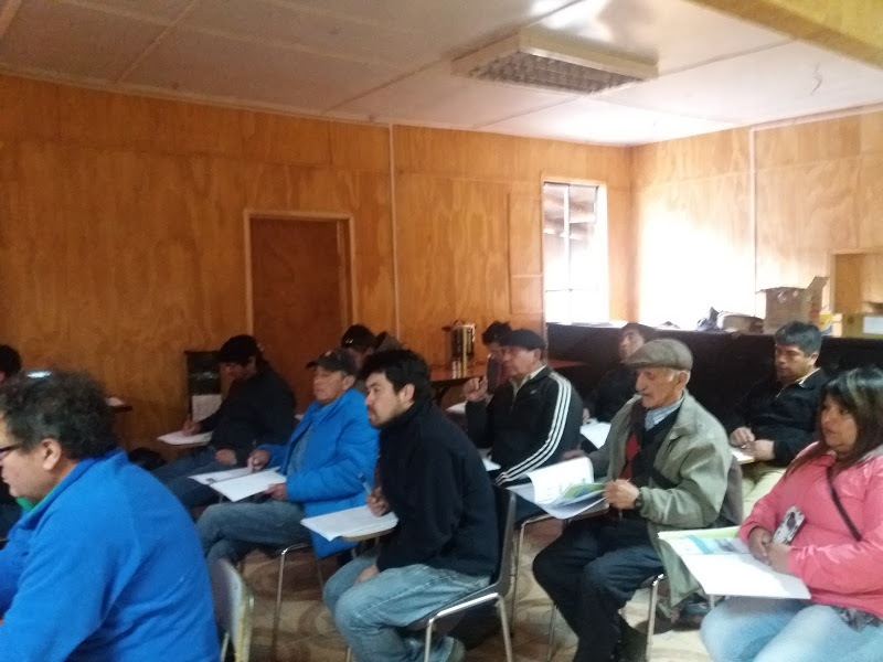 Técnicas en mantención de motores diesel