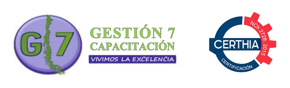 Gestión 7 Capacitación